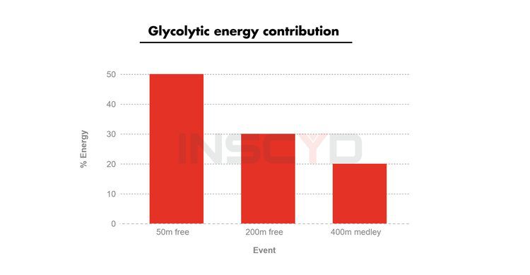 Glycolytic energy contribution in swimming