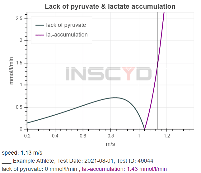 INSCYD Lactate accumulation and recovery graph - swimming blog Florian Wellbrock