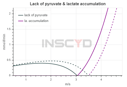 INSCYD Performance Projection - lack of pyruvate & lactate accumultion