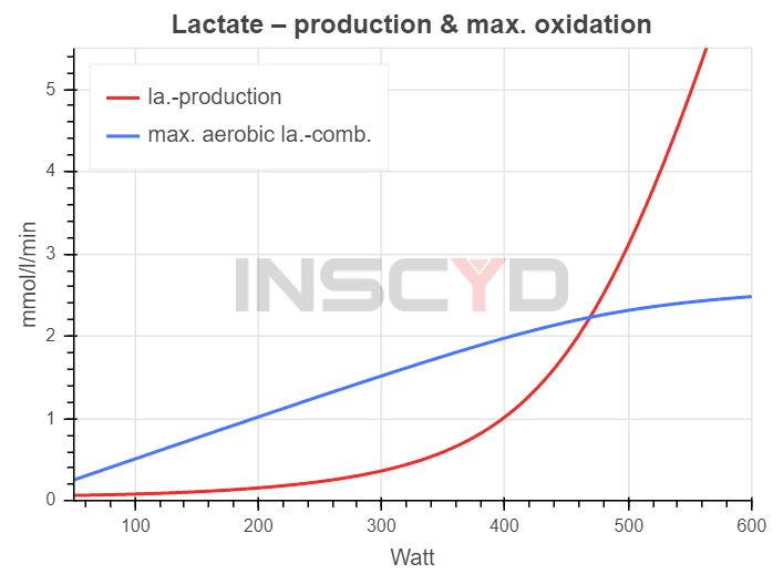 Lactate - production & lactate combustion