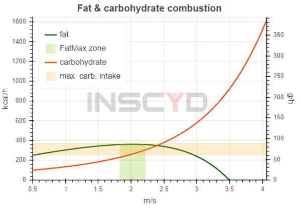 Fat and carbohydrate combustion in running